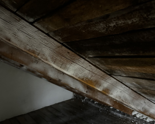 Kvalitné materiály s hlbokou penetráciou pre sanáciu dreva